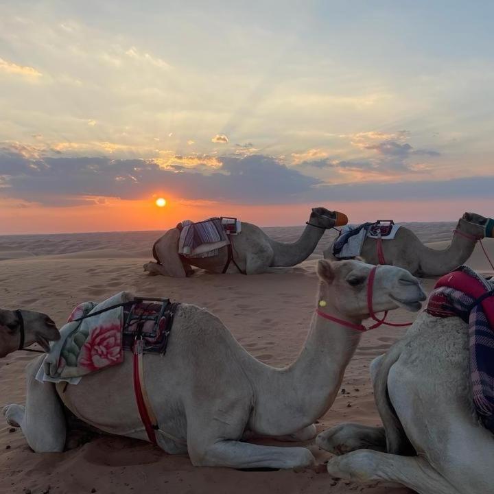 Oman Desert Private Camp Shahiq Exterior photo