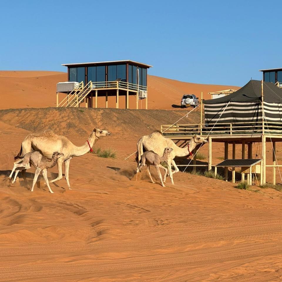 Oman Desert Private Camp Shahiq Exterior photo